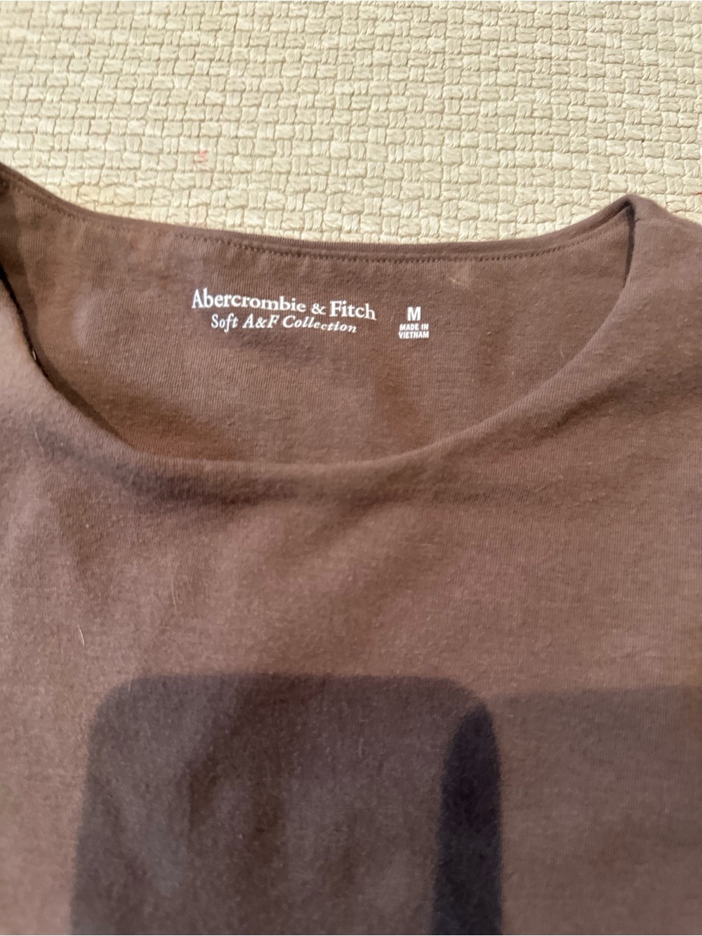 Abercrombie & Fitch Brown Scoop Neck Bodysuit